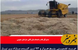 خرید تضمینی پنج هزار و ۹۳ تن گندم مازاد بر نیاز کشاورزان خراسان جنوبی