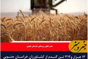 ۱۳ هزار و۳۱۲ تن گندم از کشاورزان خراسان جنوبی خریداری شد