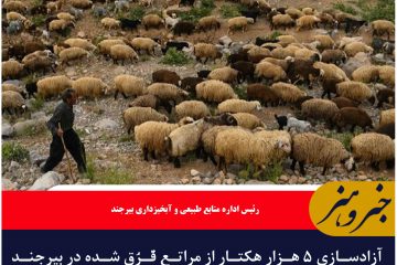 آزادسازی ۵ هزار هکتار از مراتع قُرُق شده در بیرجند برای چرای دام
