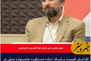 افزایش قیمت زرشک تازه دستاورد جشنواره ملی در خراسان جنوبی
