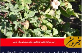 دو مسابقه نخ ریسی و بافت مله در آستانه هفته فرهنگی خوسف برگزار می شود