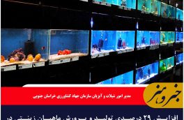 افزایش ۲۹ درصدی تولید و پرورش ماهیان زینتی در خراسان جنوبی