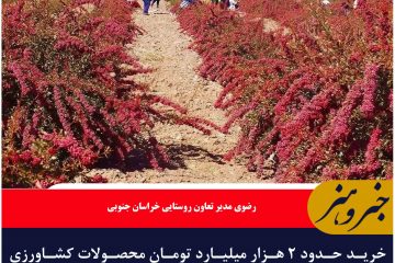 خرید حدود ۲ هزار میلیارد تومان محصولات کشاورزی از روستائیان خراسان جنوبی