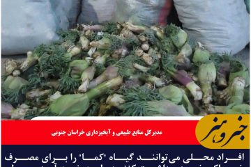 عرضه گیاه کما برای فروش در خراسان جنوبی ممنوع است