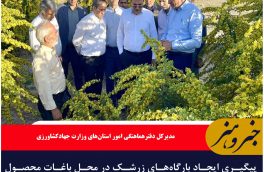 پیگیری ایجاد بارگاه‌های زرشک در محل باغات محصول در خراسان جنوبی