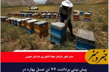 پیش بینی برداشت ۷۷ تن عسل بهاره در خراسان جنوبی