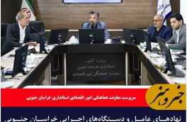 نهادهای عامل و دستگاه‌های اجرایی خراسان جنوبی سهم ۲۵ درصدی تسهیلات بخش تعاون پرداخت شود