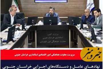 نهادهای عامل و دستگاه‌های اجرایی خراسان جنوبی سهم ۲۵ درصدی تسهیلات بخش تعاون پرداخت شود