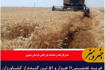 خرید تضمینی ۱۱ هزار و ۵۱ تن گندم از کشاورزان خراسان جنوبی