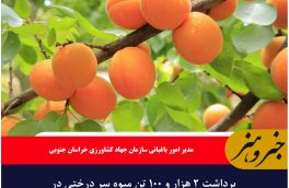 برداشت ۲ هزار و ۱۰۰ تن میوه سر درختی در خراسان جنوبی