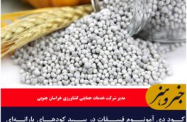 کود دی آمونیوم فسفات در سبد کودهای یارانه‌ای خراسان جنوبی قرار گرفت