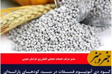 کود دی آمونیوم فسفات در سبد کودهای یارانه‌ای خراسان جنوبی قرار گرفت