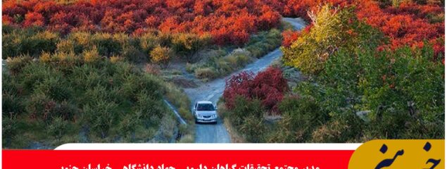 زرشک بی دانه خراسان جنوبی پتانسیل تولید ۵۳ فرآورده را دارد