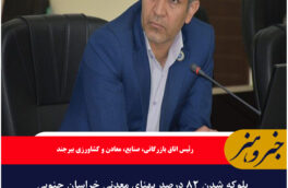 بلوکه شدن ۸۲ درصد پهنای معدنی خراسان جنوبی