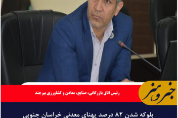 بلوکه شدن ۸۲ درصد پهنای معدنی خراسان جنوبی