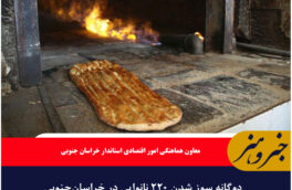 دوگانه سوز شدن ۲۲۰ نانوایی در خراسان‌جنوبی