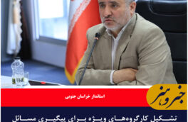 تشکیل کارگروه‌های ویژه برای پیگیری مسائل اولویت‌دار خراسان جنوبی