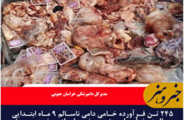 ۲۴۵ تن فرآورده خامی دامی ناسالم ۹ ماه ابتدایی سال در خراسان جنوبی ضبط و از چرخه مصرف انسانی خارج شد
