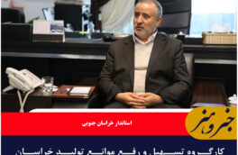 کارگروه تسهیل و رفع موانع تولید خراسان جنوبی در شهرستان ها برگزار شود