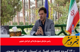 ۱۳۰۰ گروه جهادی فعال در استان خراسان جنوبی وجود دارد