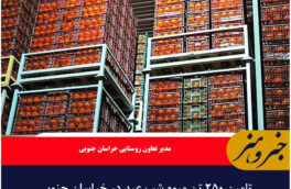 تامین ۲۵۰ تن میوه شب عید در خراسان جنوبی