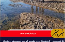 ظرفیت‌های گردشگری بی‌نظیر کویر خوسف و جنگل نخاب فرصتی برای توسعه گردشگری خراسان جنوبی