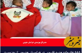 ۵۸۵ خانواده چند قلویی در خراسان جنوبی از بهزیستی خدمت می گیرند