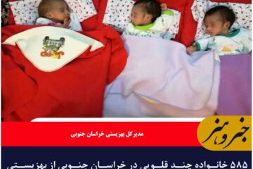 ۵۸۵ خانواده چند قلویی در خراسان جنوبی از بهزیستی خدمت می گیرند