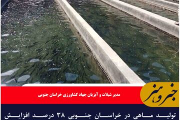 تولید ماهی در خراسان جنوبی ۳۸ درصد افزایش یافت/چهار هزار و ۷۰۰ تن ماهی تولید استان