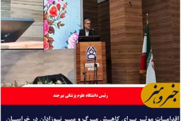 اقدامات موثر برای کاهش مرگ و میر نوزادان در خراسان جنوبی انجام گرفته است