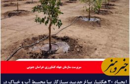 ایجاد ۳۰ هکتار باغ جدید سازگار با محیط آب و خاک در خراسان جنوبی