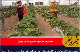 توسعه کشت‌های گلخانه‌ای در خراسان جنوبی نیاز به تامین آب دارد