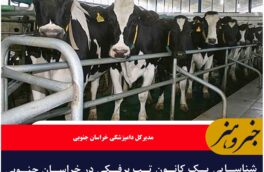 شناسایی یک کانون تب برفکی در خراسان جنوبی /تب برفکی در روستای « گورابی» شهرستان قاینات