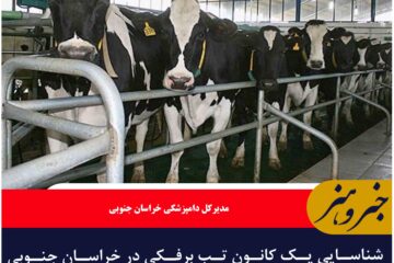 شناسایی یک کانون تب برفکی در خراسان جنوبی /تب برفکی در روستای « گورابی» شهرستان قاینات