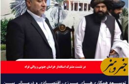 توسعه همکاری‌های مرزی، اقتصادی و درمانی بین استان های خراسان جنوبی و فراه