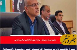 مرز ماهیرود سربیشه ظرفیت حل مشکل اشتغال شهرستان و حتی استان را دارد