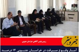 آمار وقوع سرقت در خراسان جنوبی ۱۴ درصد کاهش یافت