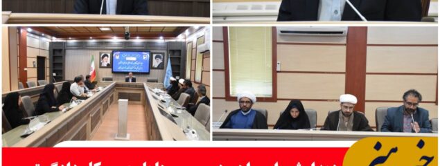 شورای راهبردی سازمان های مردم نهاد استان با رییس کل دادگستری خراسان جنوبی دیدار کردند.