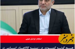 هیچ گونه کمبودی در زمینه کالاهای اساسی در خراسان جنوبی نداریم