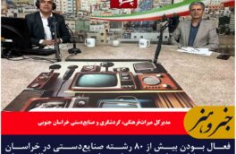 فعال بودن بیش از ۸۰ رشته صنایع‌دستی در خراسان جنوبی / احیای رشته‌های صنایع‌دستی و چالش‌های صنعتگران