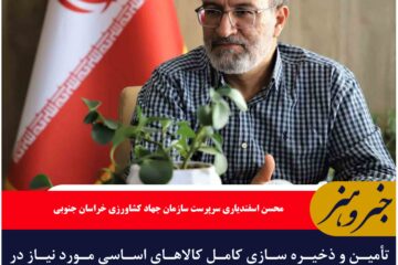 تأمین و ذخیره سازی کامل کالاهای اساسی مورد نیاز در خراسان جنوبی