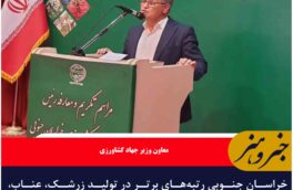 خراسان جنوبی رتبههای برتر در تولید زرشک، عناب، زعفران و پسته را در کشور دارد