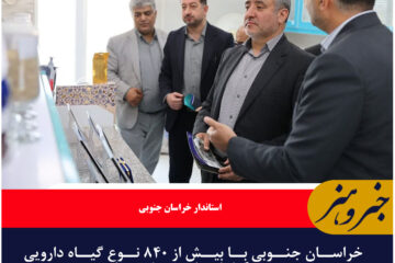 خراسان جنوبی با بیش از ۸۴۰ نوع گیاه دارویی «بهشت گیاهان دارویی» کشور است