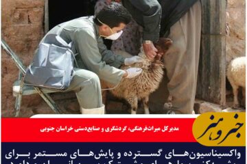 واکسیناسیون‌های گسترده و پایش‌های مستمر برای ریشه‌کنی بیمارهای مشترک بین انسان و دام در خراسان جنوبی