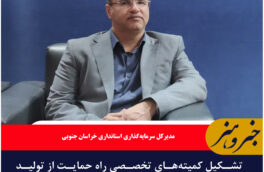 تشکیل کمیته‌های تخصصی راه حمایت از تولید در خراسان جنوبی