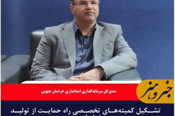 تشکیل کمیته‌های تخصصی راه حمایت از تولید در خراسان جنوبی