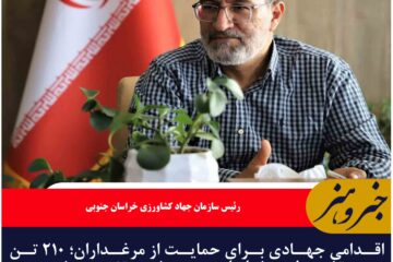 اقدامی جهادی برای حمایت از مرغداران؛ ۲۱۰ تن تخم‌مرغ در خراسان جنوبی خرید تضمینی شد