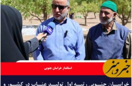 خراسان جنوبی رتبه اول تولید عناب در کشور و رتبه دوم جهان را داراست