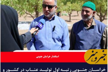 خراسان جنوبی رتبه اول تولید عناب در کشور و رتبه دوم جهان را داراست