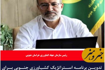 تدوین برنامه استراتژیک کشاورزی جنوبی برای عبور از بحران آب